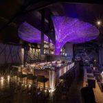 himash-night-life